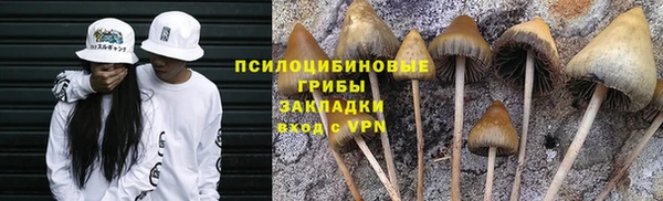 а пвп мука Пестово