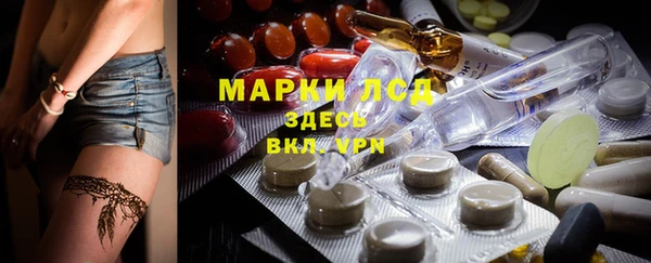 СК Пересвет
