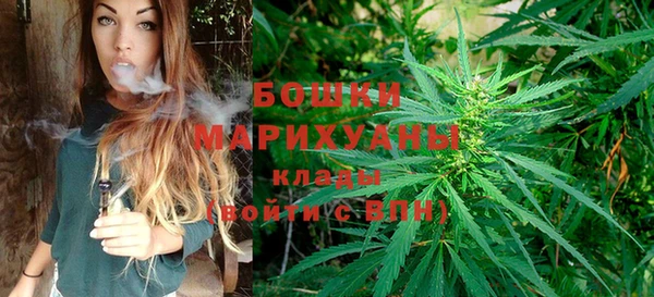 стафф Анива