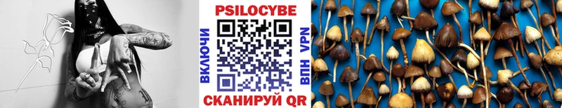 Псилоцибиновые грибы MAGIC MUSHROOMS  Яблоновский 