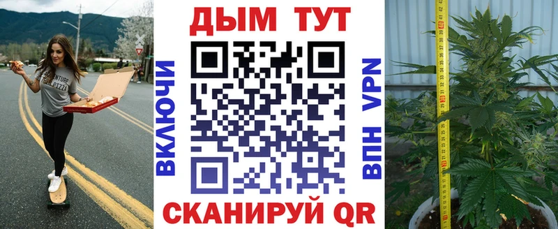 Конопля план  купить наркотики цена  Яблоновский 
